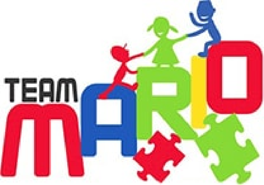 TEAM Mario Logo 